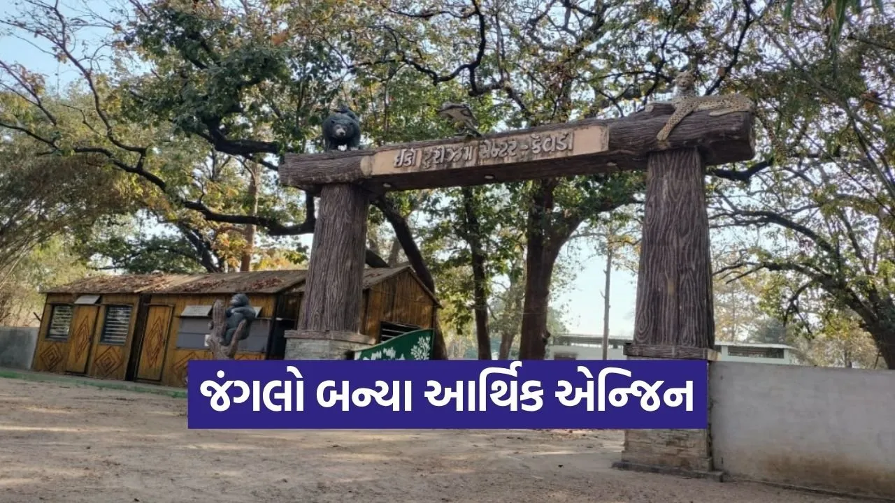 World Forest Day Green Economy India 2026 1.jpg