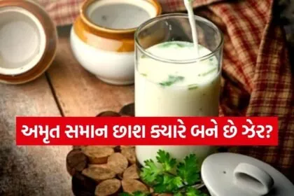 Buttermilk 2003