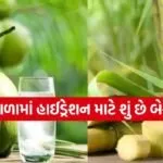 Sugarcane juice 2003