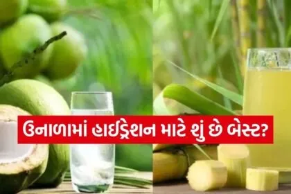 Sugarcane juice 2003