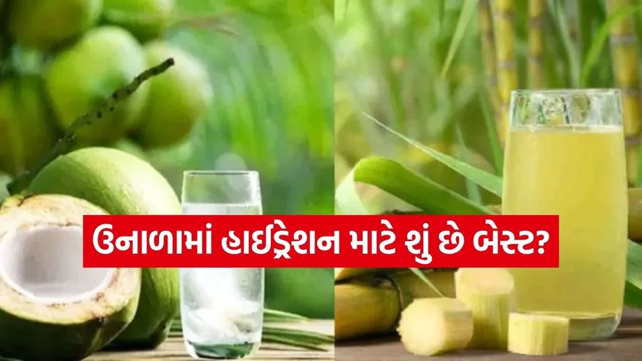 Sugarcane juice 2003.jpg