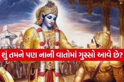Gita Updesh 2003
