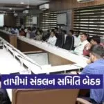 Tapi District Coordination Meeting Governance Review 2026 1