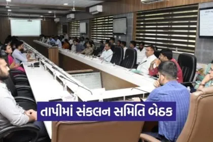 Tapi District Coordination Meeting Governance Review 2026 1