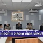 Morbi District Coordination Meeting Public Welfare 2026 1