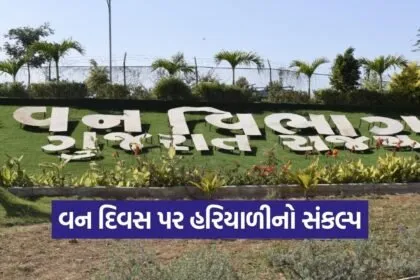 International Forest Day Gujarat Cultural Forests 2026 1