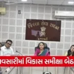 Navsari Development Review Meeting Governance 2026