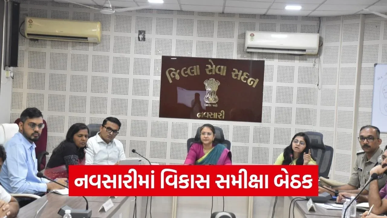 Navsari Development Review Meeting Governance 2026.jpg