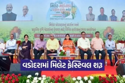 vadodara millet festival natural farmer market 2026 1
