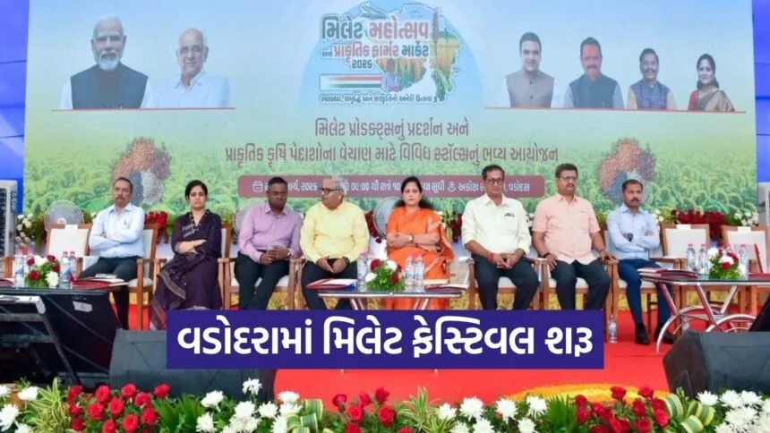 vadodara millet festival natural farmer market 2026 1