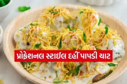 Chaat 2103