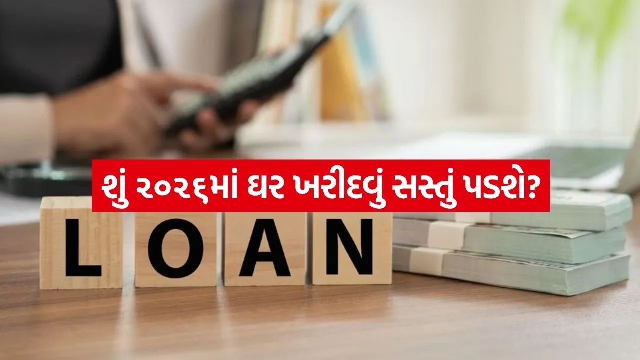 Loan 2203.jpg