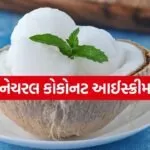 Coconut ice cream 2203