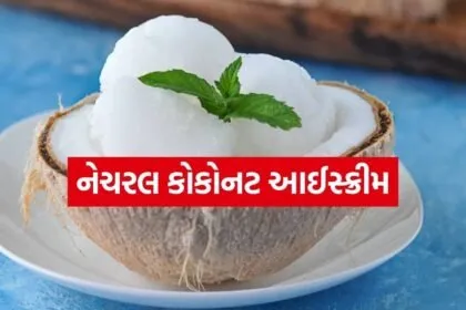 Coconut ice cream 2203