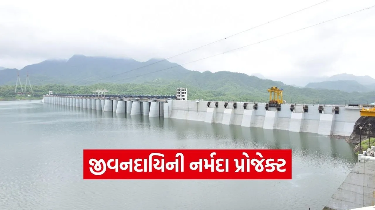 sardar sarovar dam gujarat water security development 1.jpg