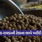gujarat chana rayda msp procurement farmers 1
