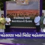 mehsana millet festival minister visit natural farmer market 1