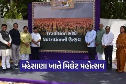 mehsana millet festival minister visit natural farmer market 1