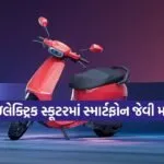 dharmishtha 1 31