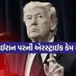 trump 2203