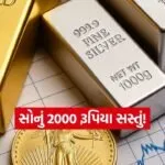 INDIA 1 2026 03 24T122236.388