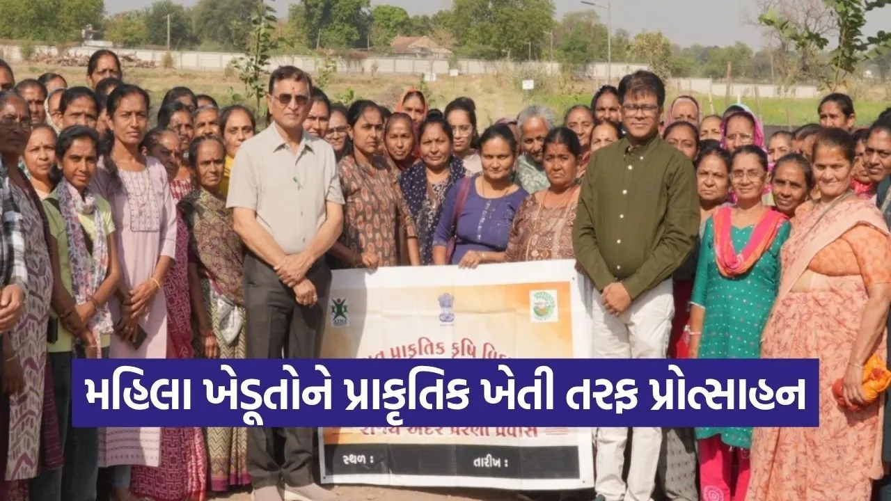 Junagadh Women Farmers Natural Farming GNFSU Training.jpg