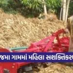Vejma Women Empowerment Agro Service Provider GLPC Mission Mangalam