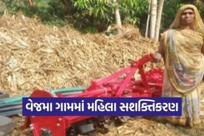 Vejma Women Empowerment Agro Service Provider GLPC Mission Mangalam
