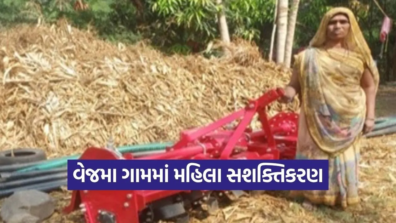 Vejma Women Empowerment Agro Service Provider GLPC Mission Mangalam.jpg