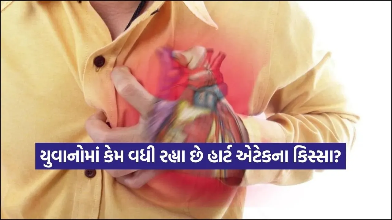 dharmishtha 1 65.jpg