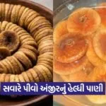 Dharmishtha 8