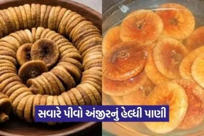 Dharmishtha 8
