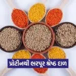 Dharmishtha 9