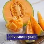 Dharmishtha 10