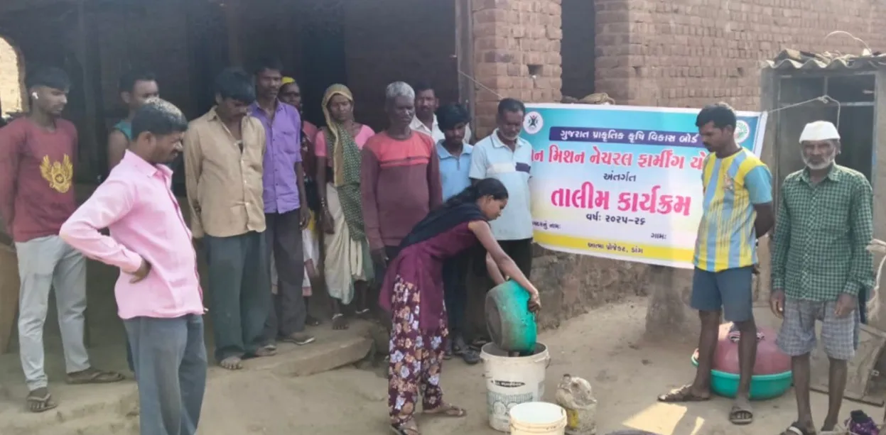 ડાંગના સુબીર તાલુકાના ઘાણીઆંબા ગામમાં પ્રાકૃતિક ખેતી તાલીમ 2 Natural Farming Training Dang Subir Cluster Farmers.png