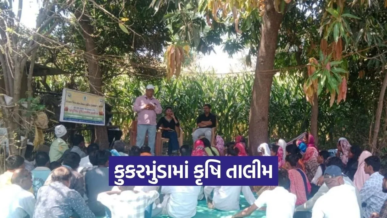 Natural Farming Training Tapi Kukarmunda Farmers 1.jpg