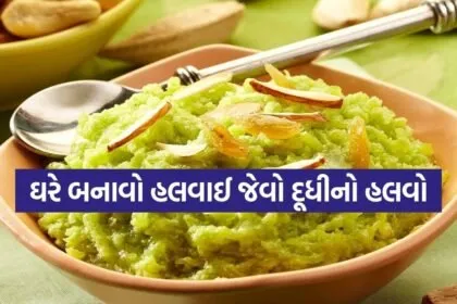 dudhi Halwa 2503