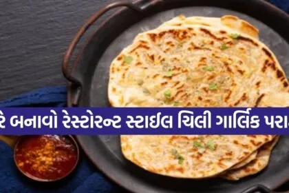 Paratha 2503