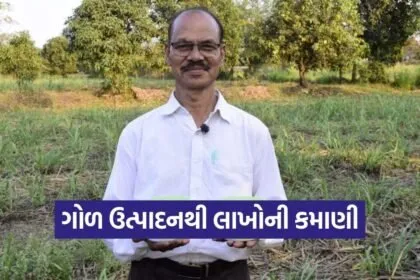Natural Farming Success Tapi Farmer Sugarcane Jaggery Income 1