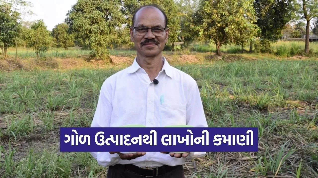 Natural Farming Success Tapi Farmer Sugarcane Jaggery Income 1.jpg