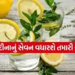Lemon 2503