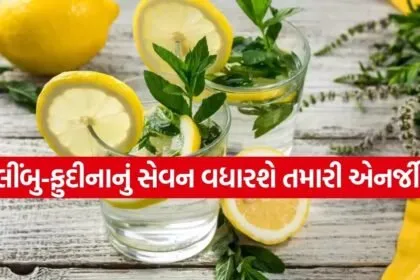 Lemon 2503