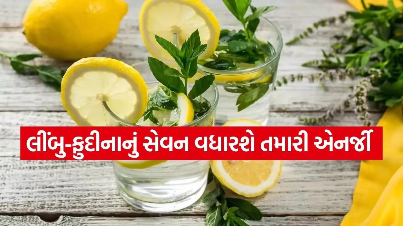 Lemon 2503.jpg