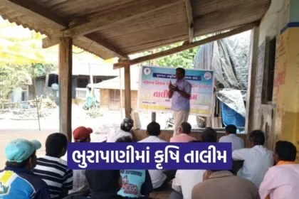Natural Farming Training Dang Ahwa Bhurapani Cluster
