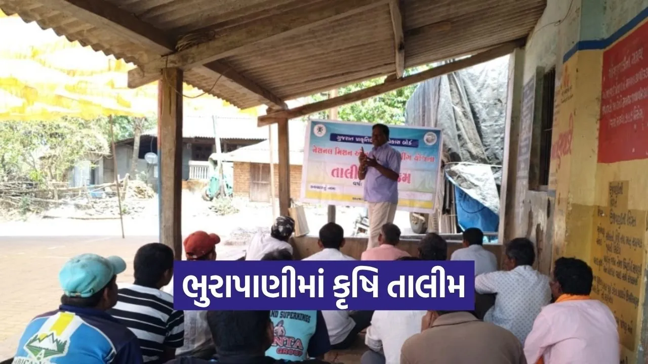Natural Farming Training Dang Ahwa Bhurapani Cluster.jpg