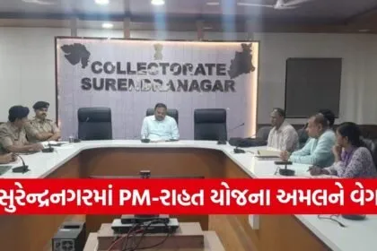 PM Rahat Scheme Surendranagar Road Accident Free Treatment India