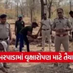 Forest Advance Work Umarpada Plantation Preparation Gujarat 1