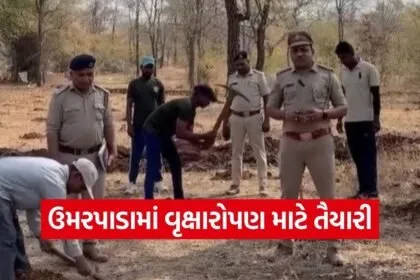 Forest Advance Work Umarpada Plantation Preparation Gujarat 1