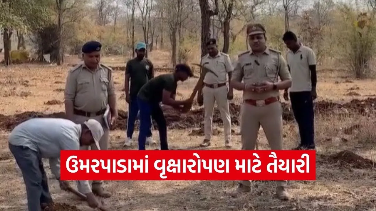 Forest Advance Work Umarpada Plantation Preparation Gujarat 1.jpg