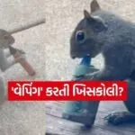 INDIA 1 2026 03 25T182306.339